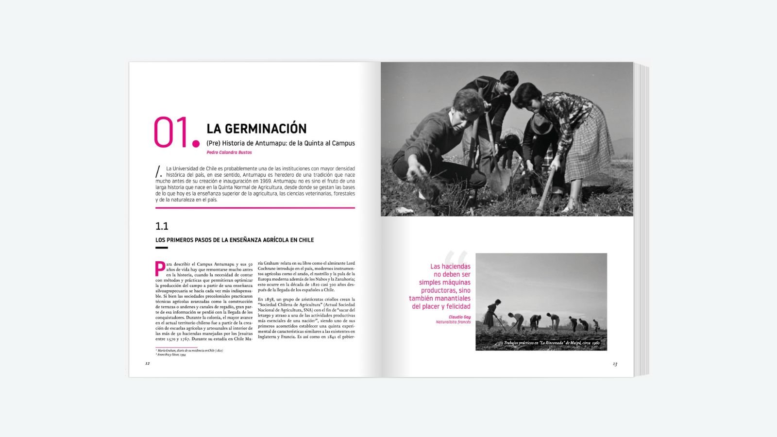 50 años Antumapu: su historia, nuestro futuro — detalle 2