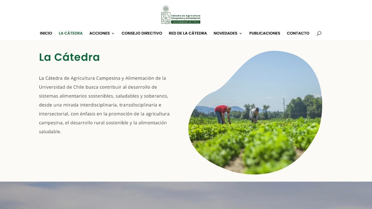 Cátedra de Agricultura Campesina y Alimentación — detalle 2