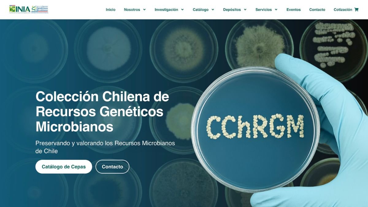 CChRGM