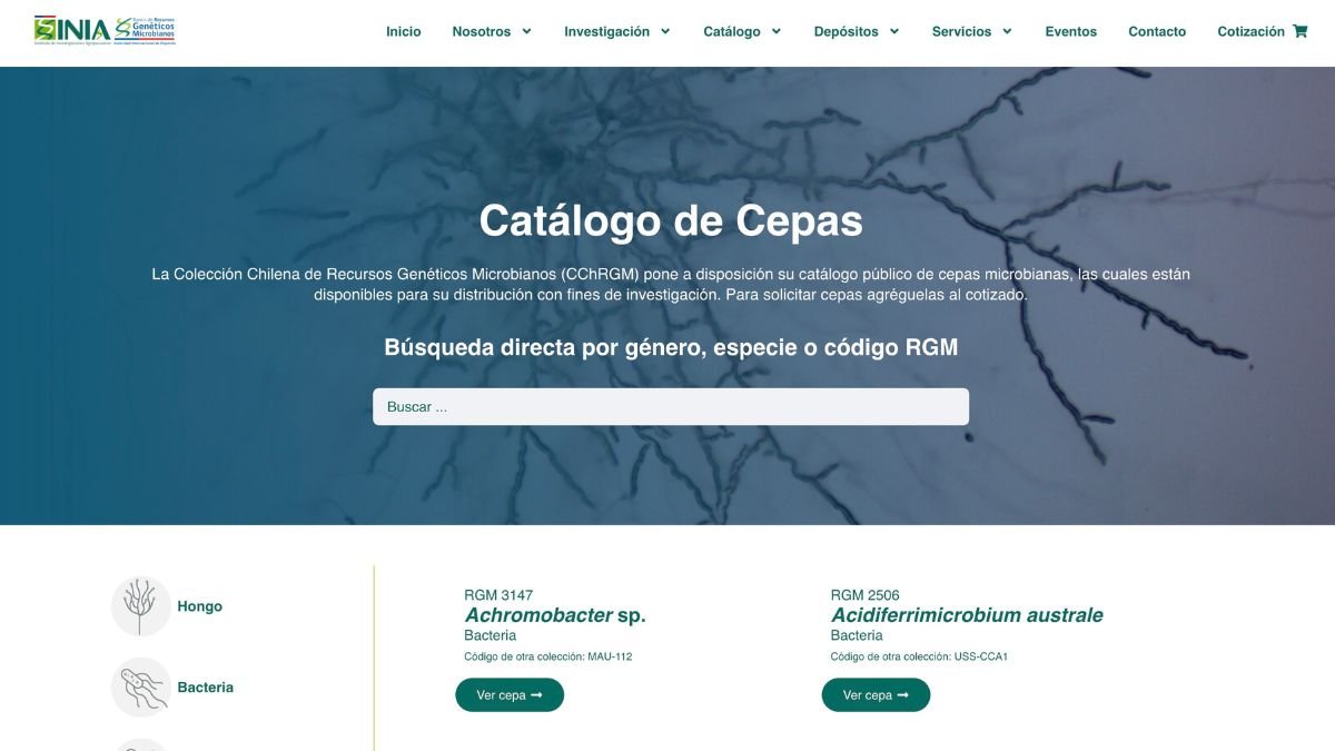 CChRGM — detalle 1