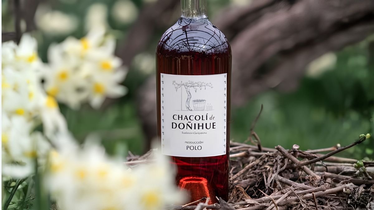 Chacolí y Aguardiente de Doñihue — detalle 1