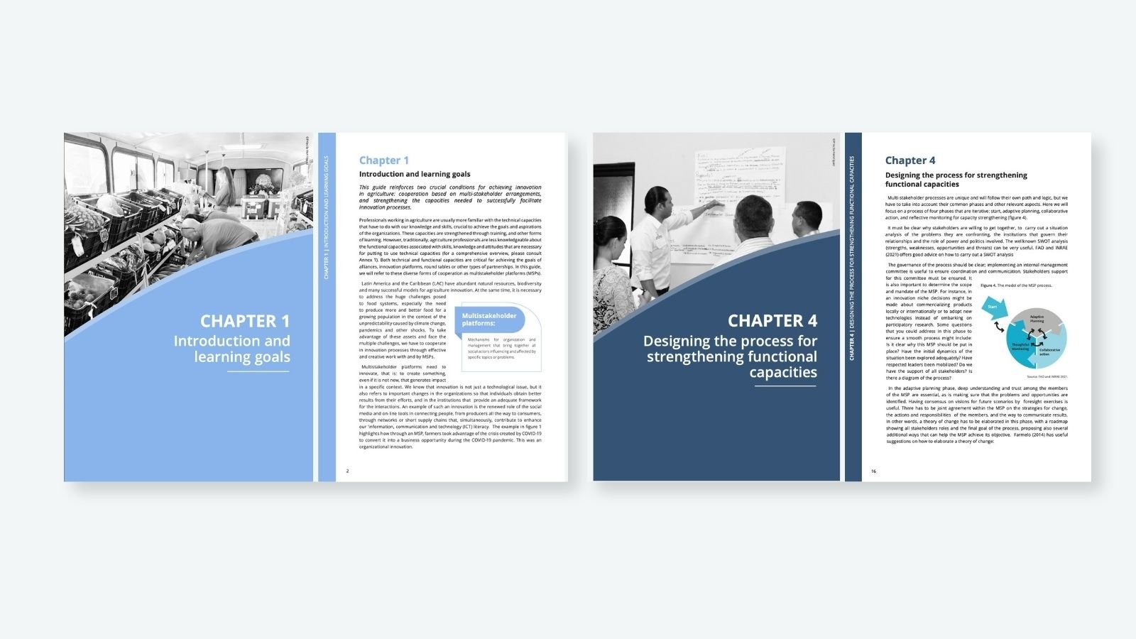 Guide for strengthening functional capacities in agricultural innovation — detalle 2