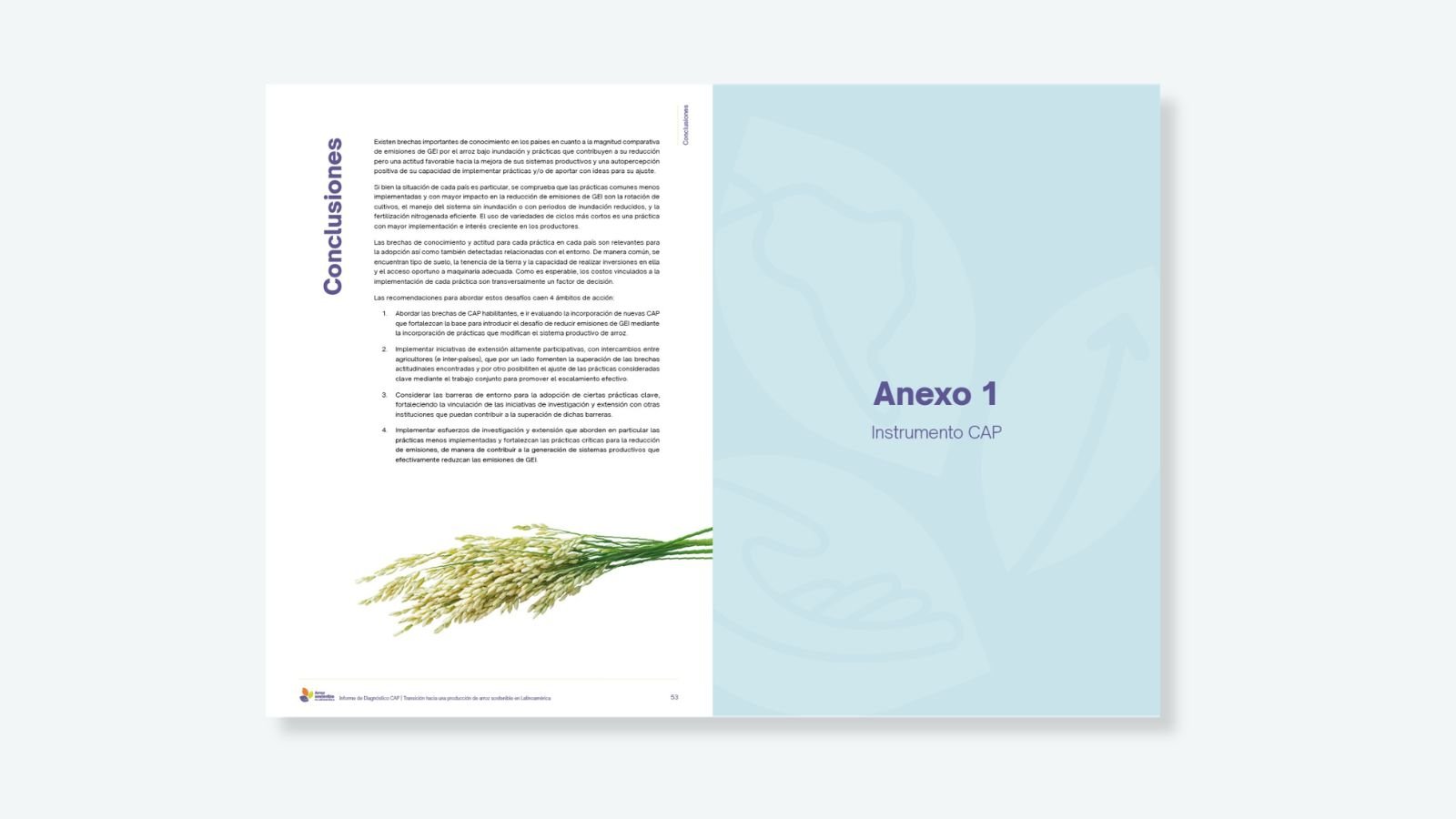 Informe de Diagnóstico CAP / Infografías — detalle 2
