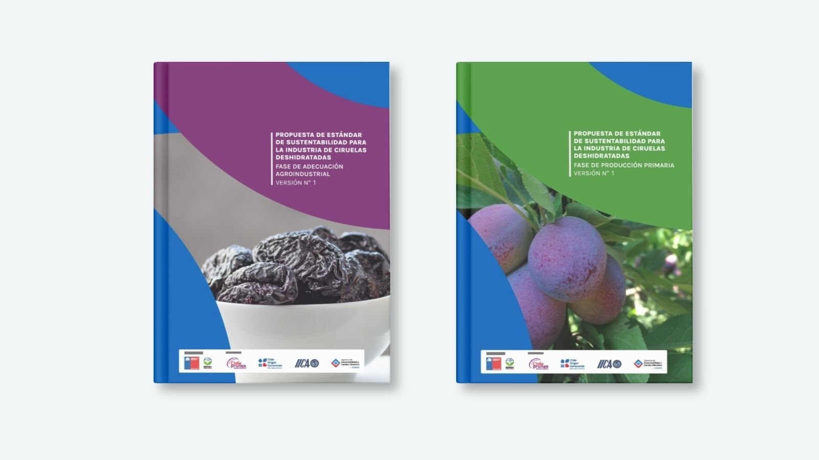 Recursos para Estándar de Sustentabilidad de la Industria de Ciruelas Deshidratadas